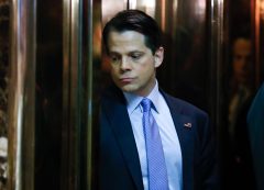 Anthony Scaramucci’s old tweets reveal liberal views on climate, abortion, gay rights, border wall