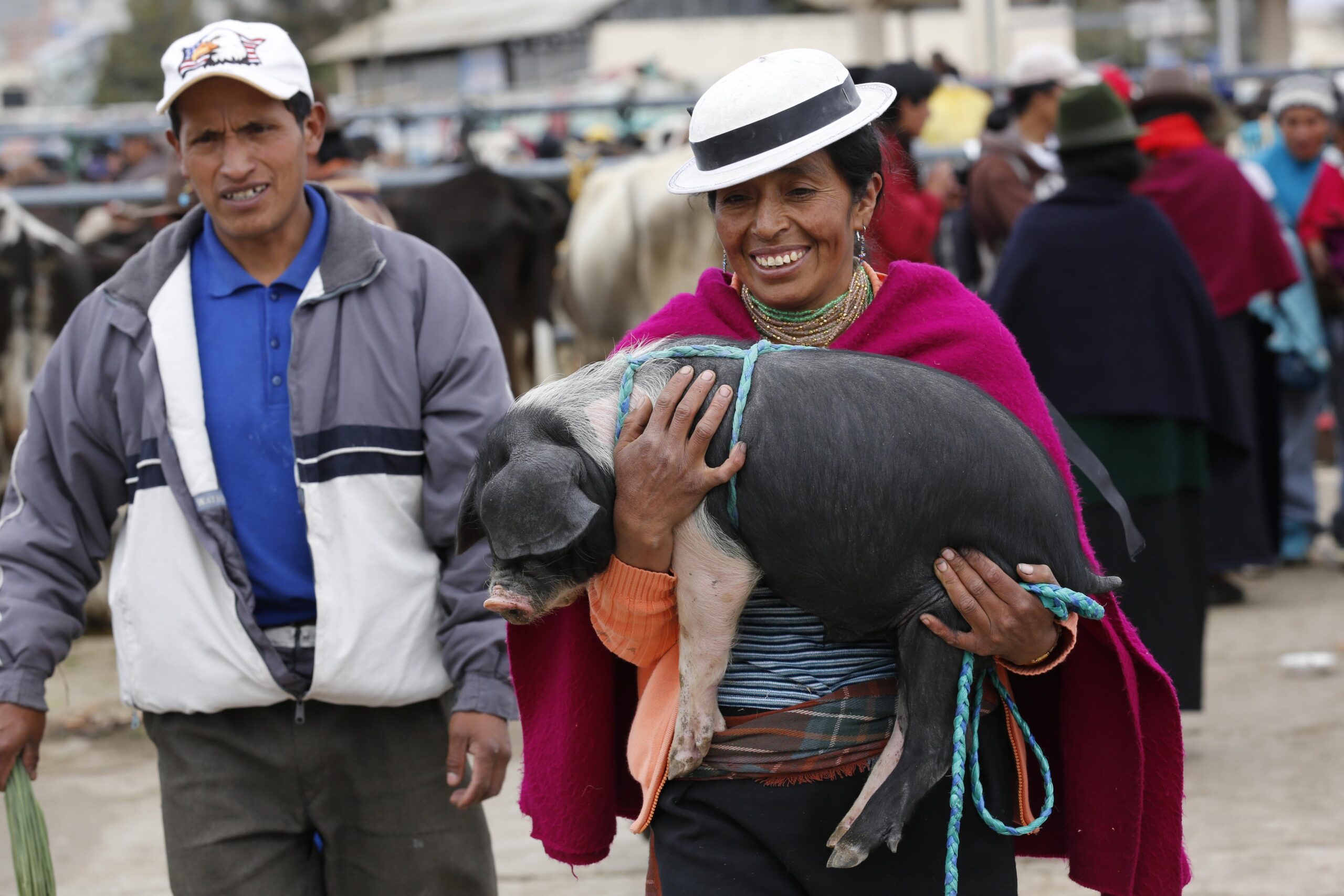 AP PHOTOS: Ecuador picks its best pork roaster