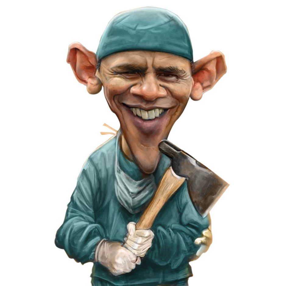 The Second Obamacare Election