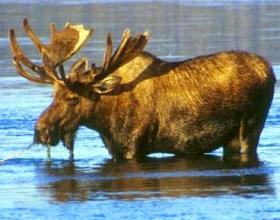 2012 Watch: A Palin Reality Show?