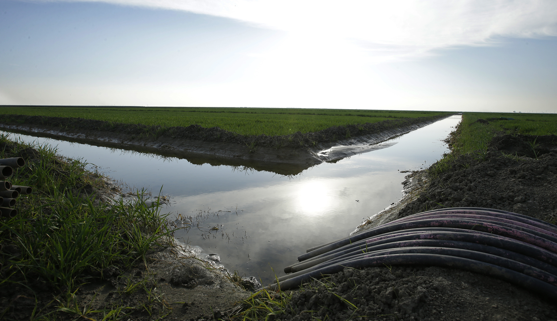Republican senators urge EPA to swiftly repeal and replace Obama-era water rule