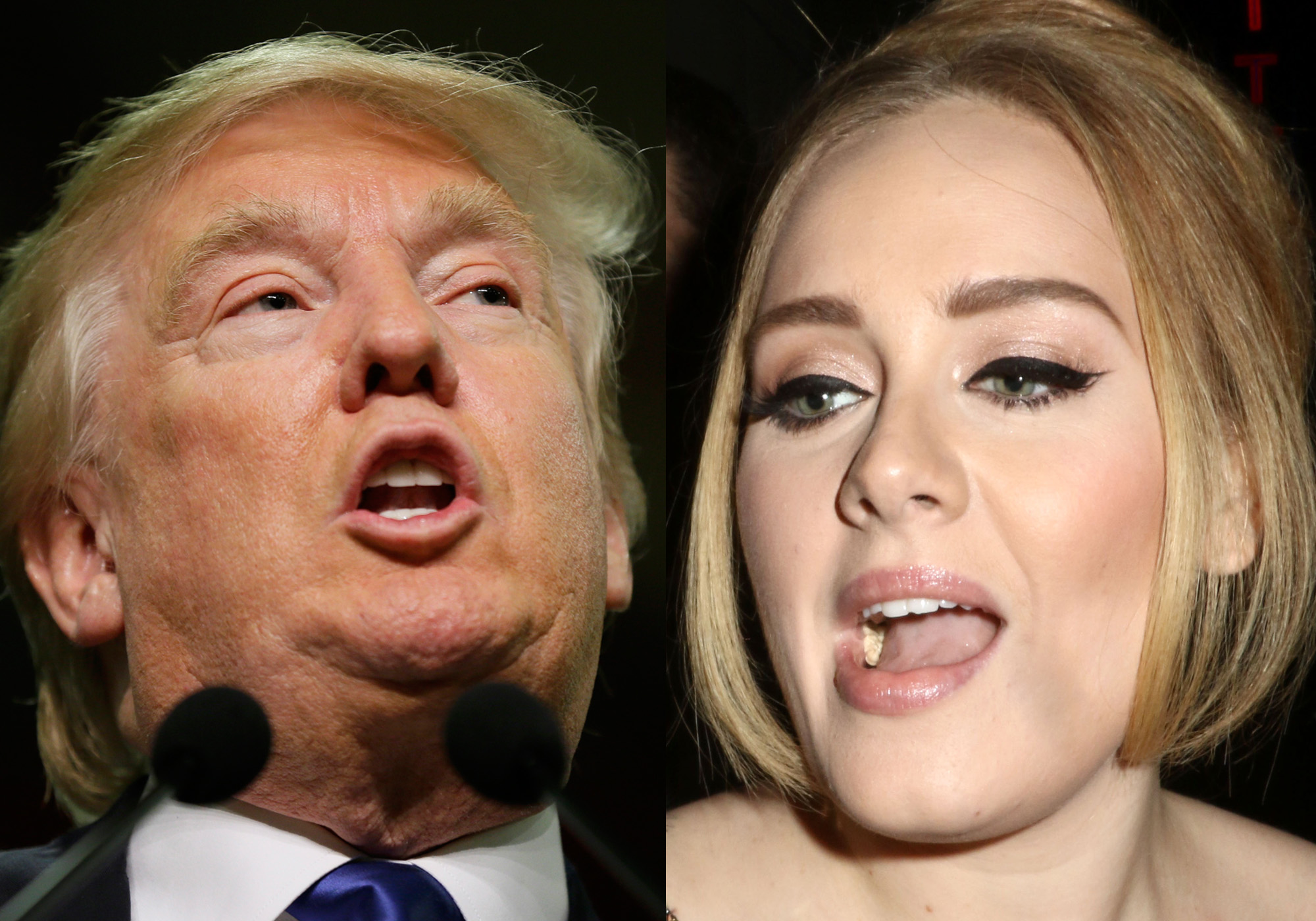 Adele to Trump: Stop using my music at rallies