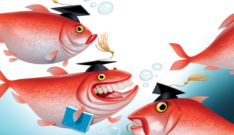 Down with the college admissions cabal