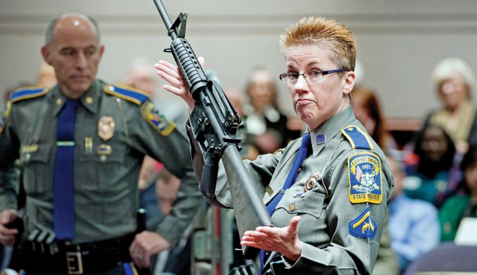 What gun confiscation would look like