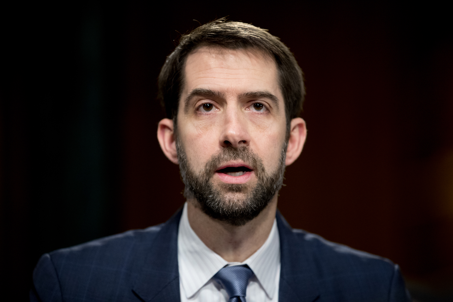 Tom Cotton launches broadside against House GOP import tax