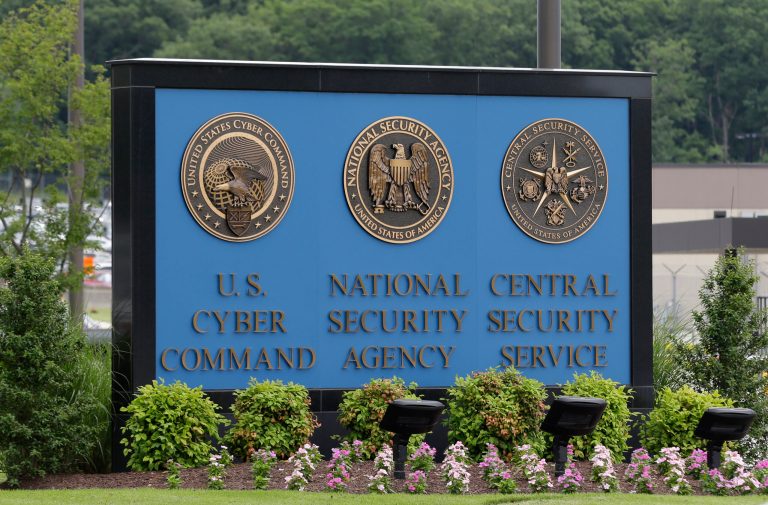 What can unite liberals and tea partyers? The NSA