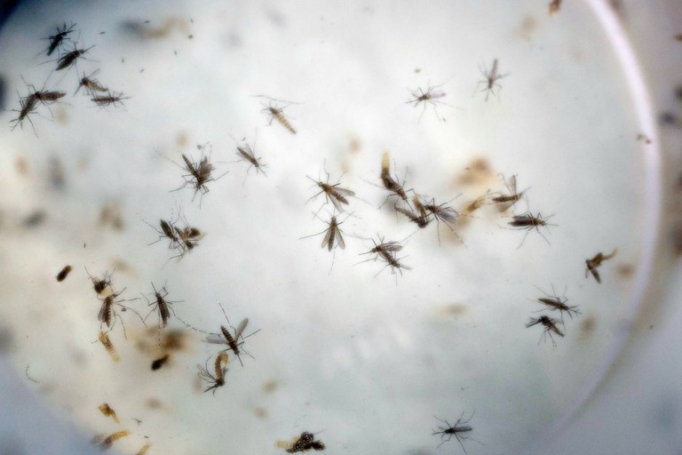 In February, President Obama requested $1.8 billion in emergency funding on Zika. A majority of the funds would go to states and the U.S. territory of Puerto Rico to kill mosquitoes. (AP Photo)