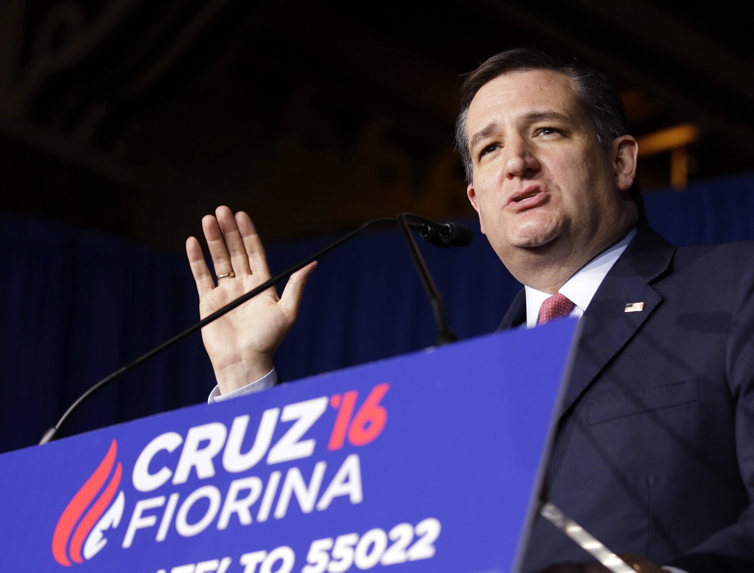 FEC Dems approve liberal attack on Cruz in secret vote