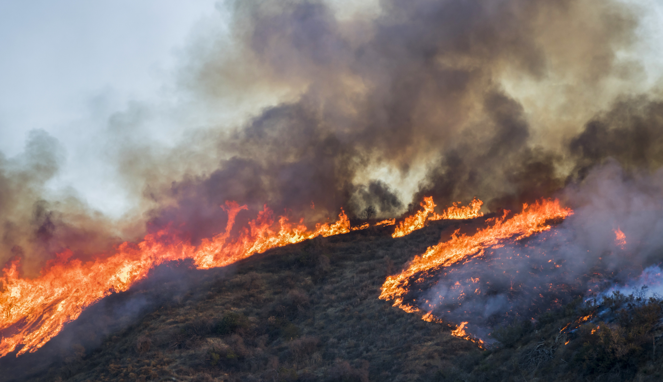 Police: Portland man arrested twice for starting multiple brush fires, including one with Molotov cocktail