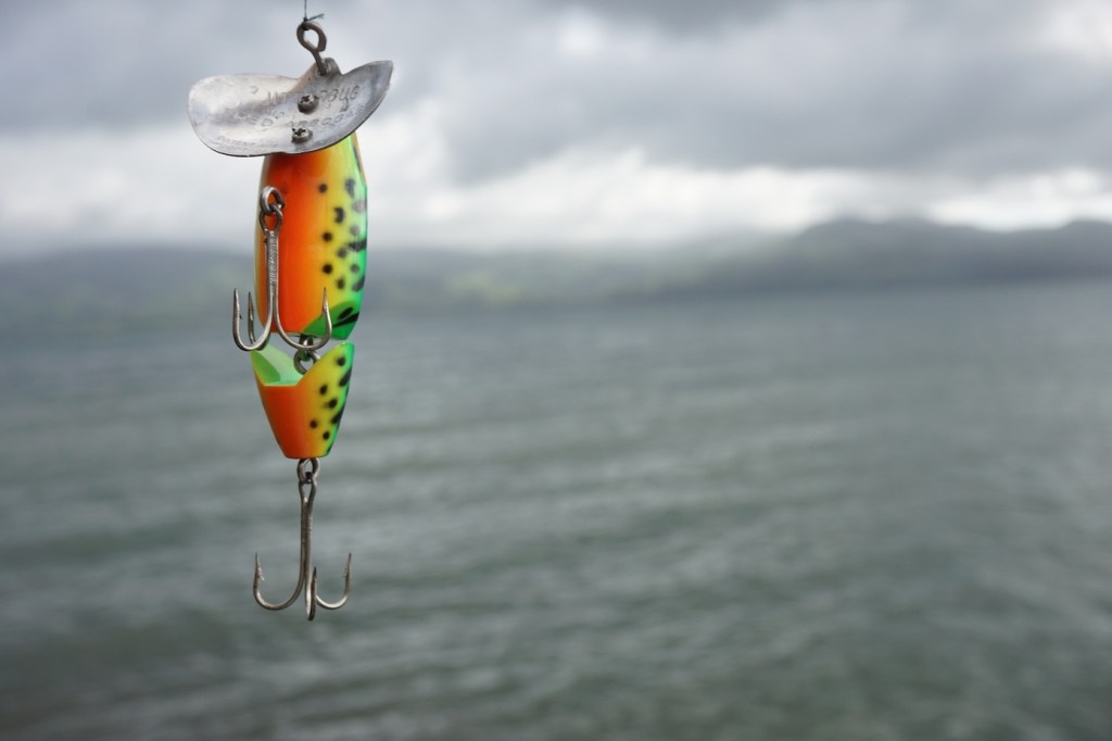 LABASH: Instagram Is Killing Fish
