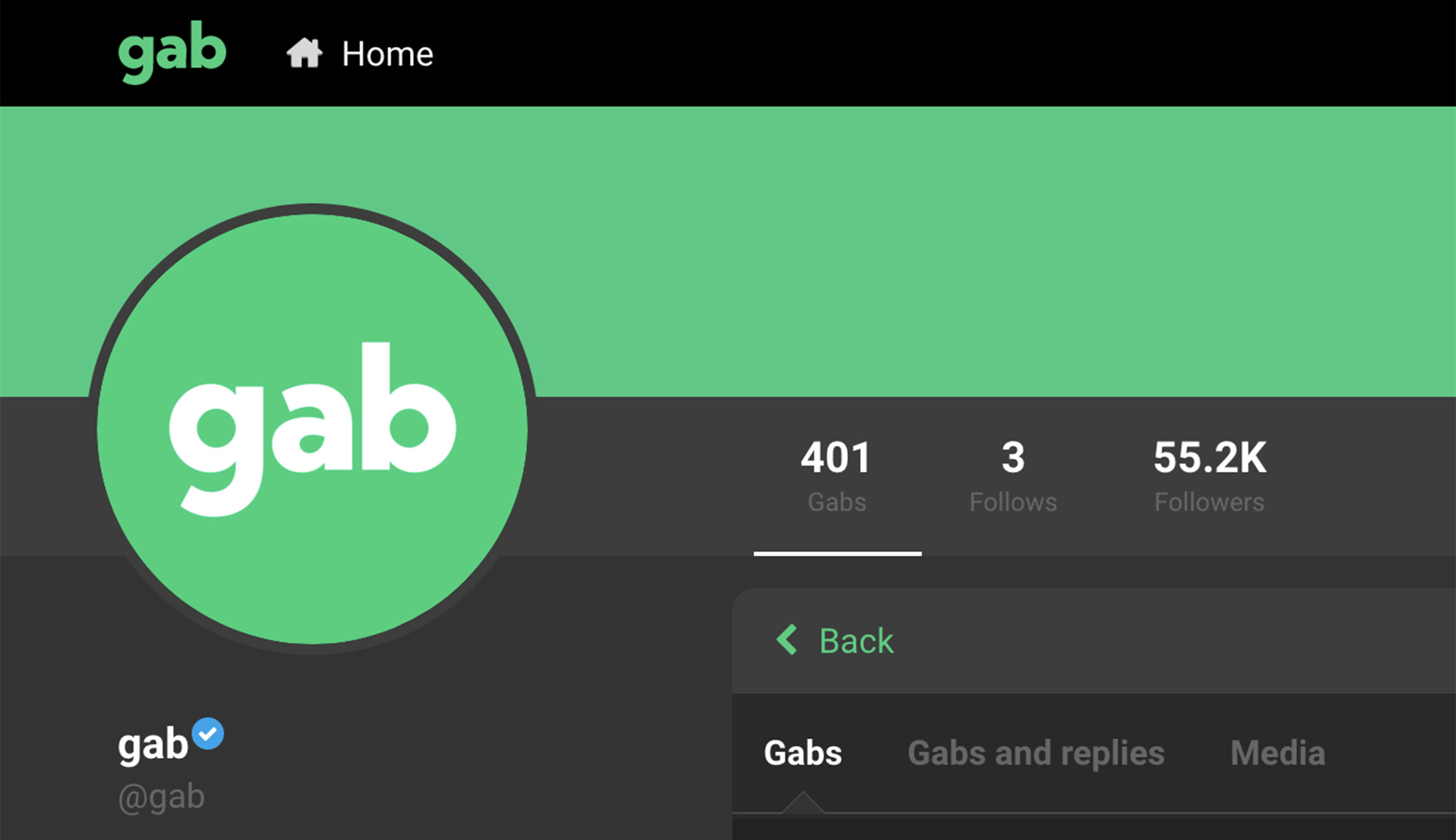 Gab founder says users fed up with Big Tech treating them ‘like children’