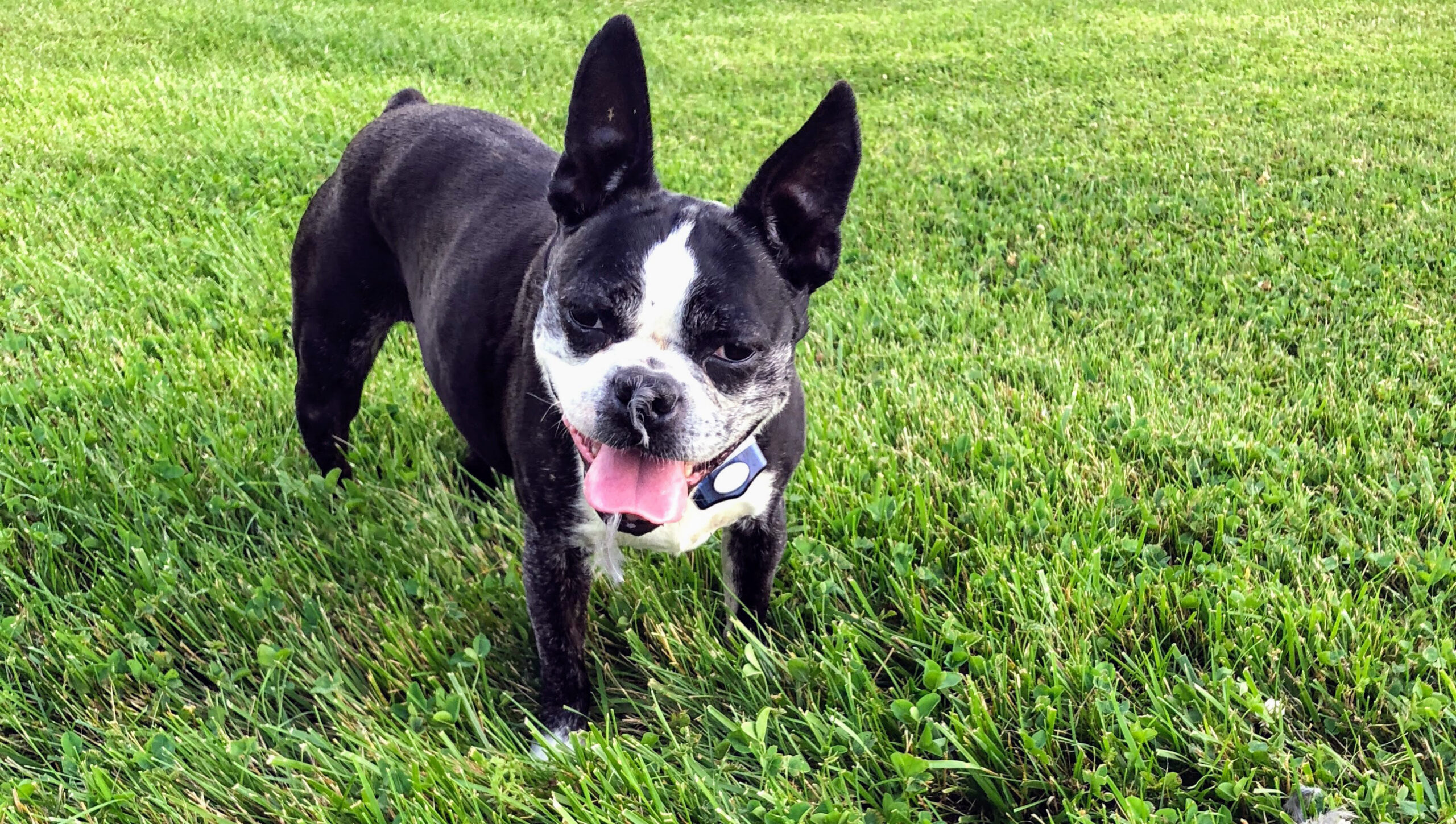 Fighting a losing battle with Mother Nature