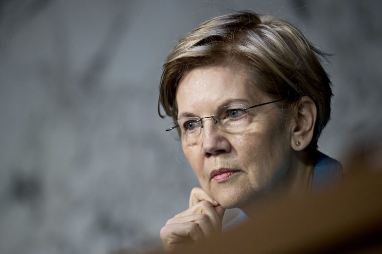 Elizabeth Warren, European Corporatist