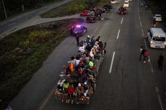 Trump and the Caravan