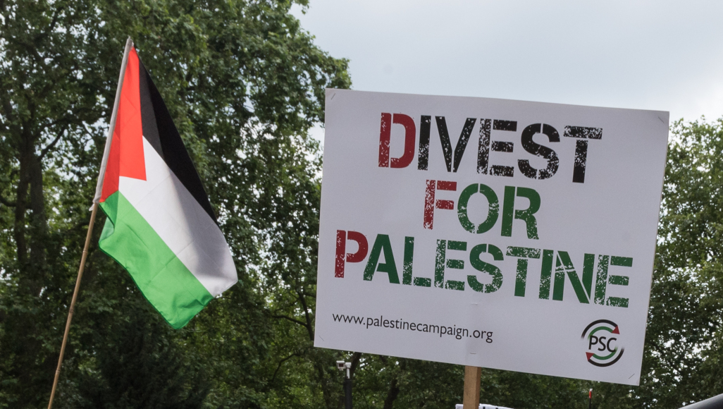 Little-known charity funded by major liberal groups sponsors anti-Israel organizations aligned with BDS