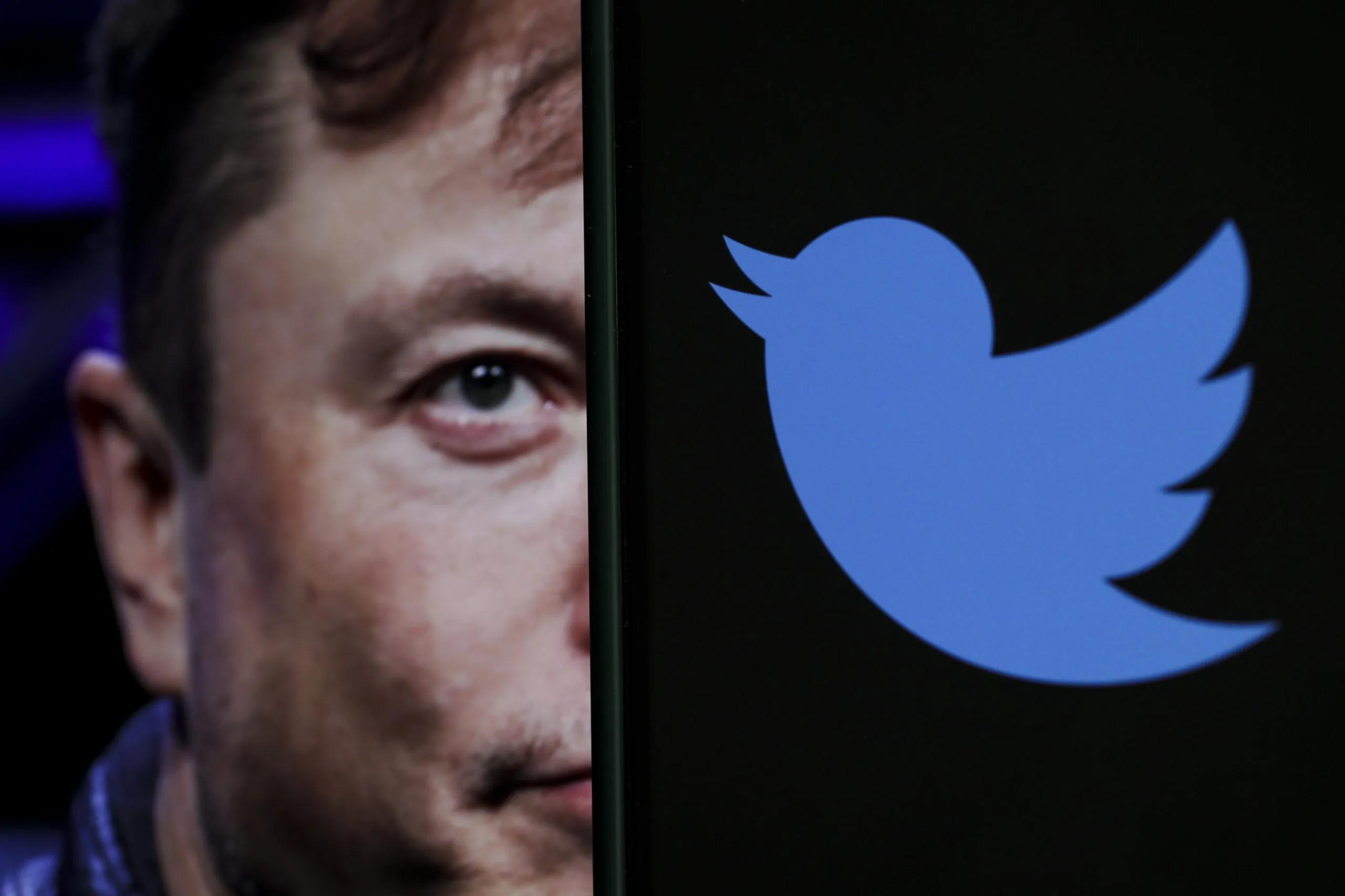Elon Musk and Twitter