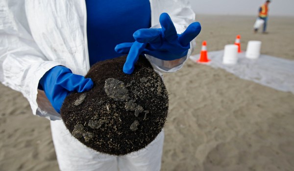 Nonprofit organization uses hair to soak up oil spills