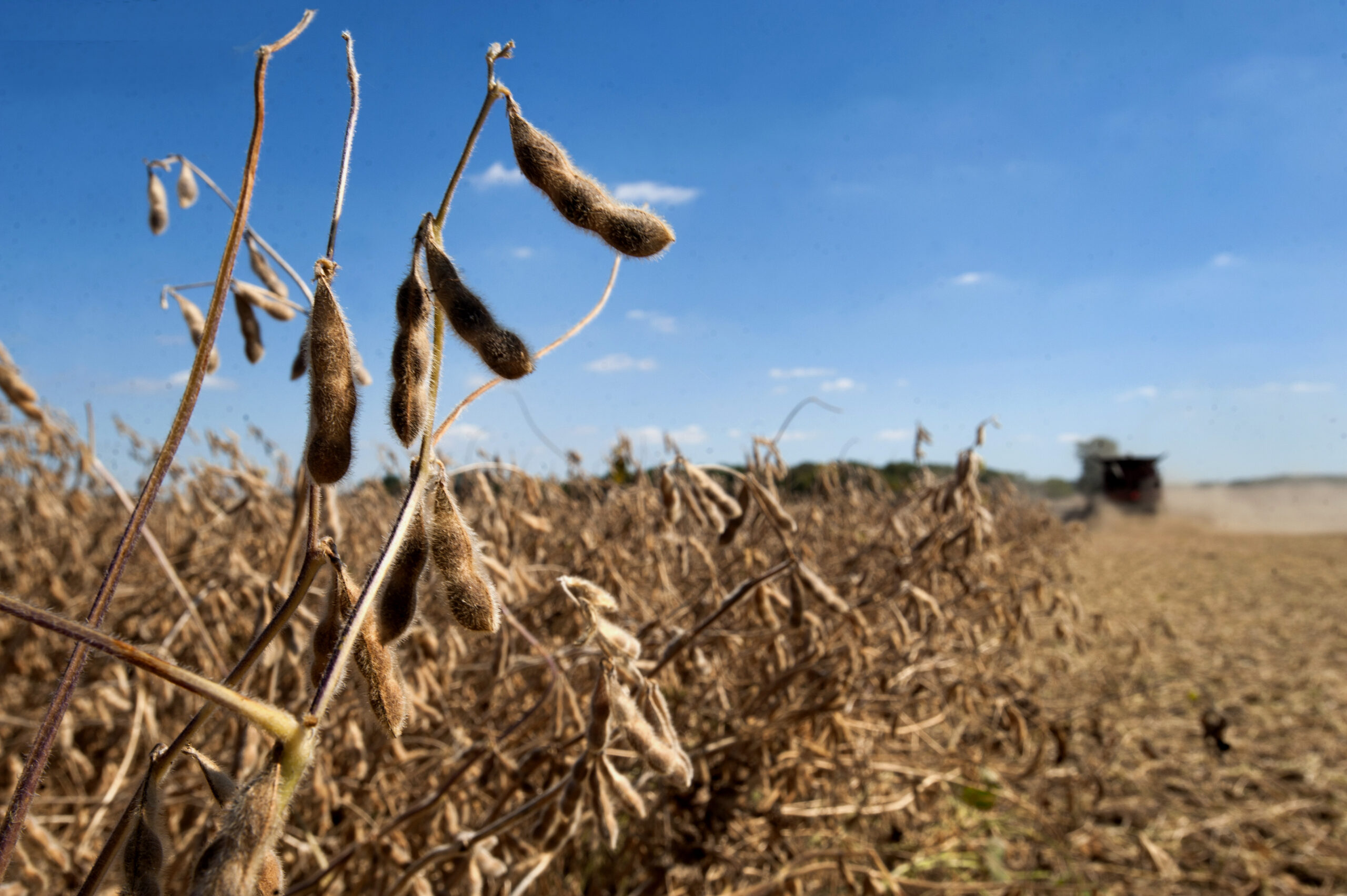 Can Trump’s Ag Bailout Save Farmers from His Tariffs?