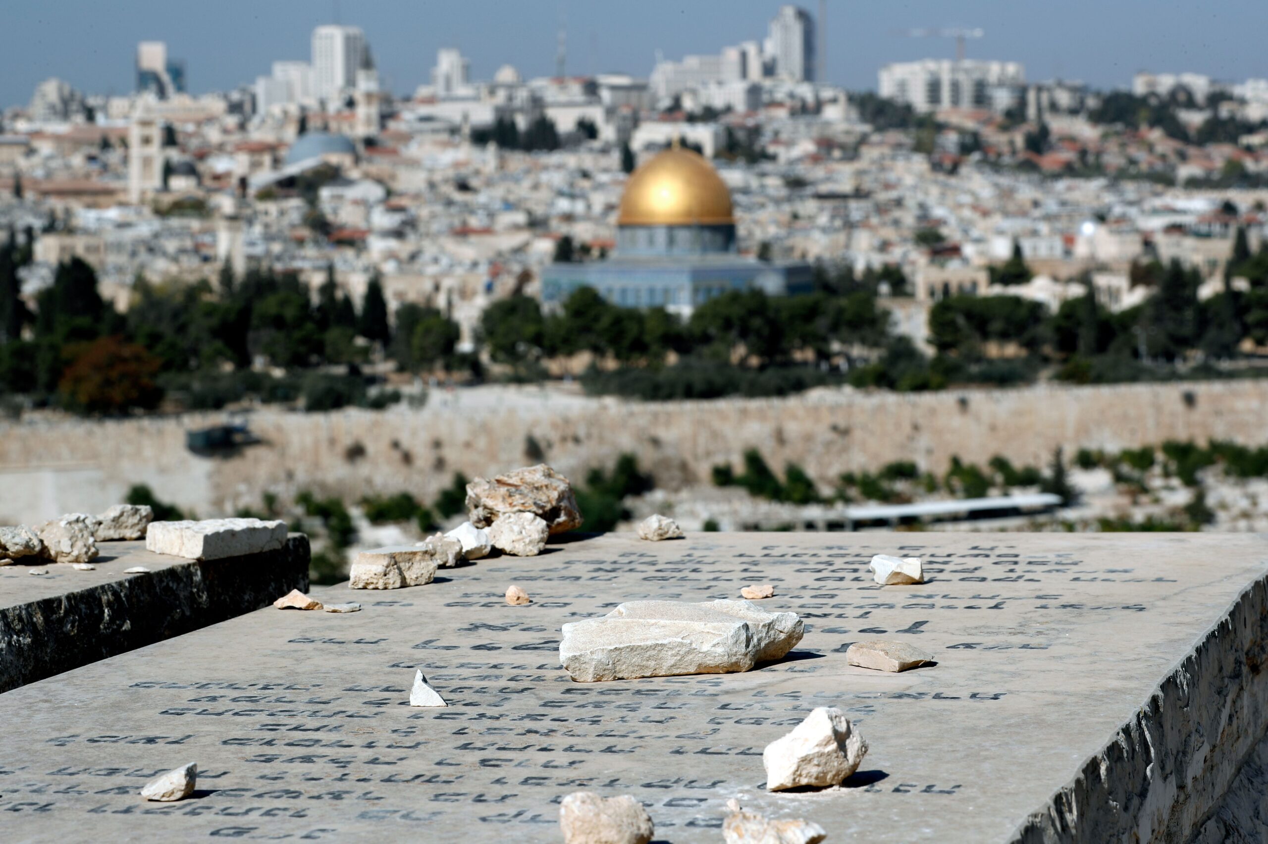 ‘Curiosity Is the First Step Toward Empathy’