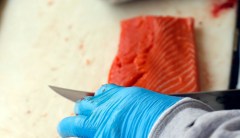 GMO salmon headed to US grocery stores