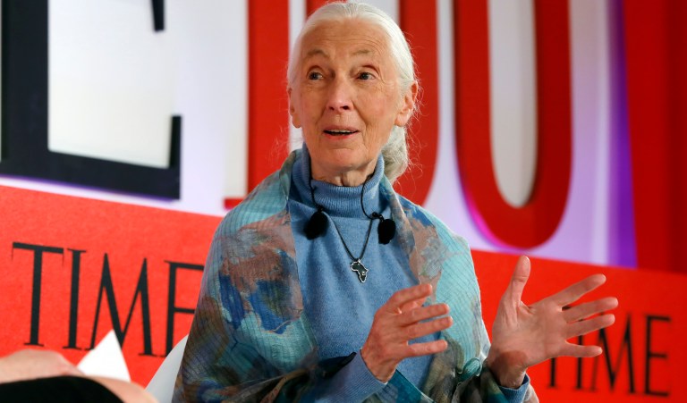 Primatologist Jane Goodall speaks during the TIME 100 Summit, in New York, Tuesday, April 23, 2019. 