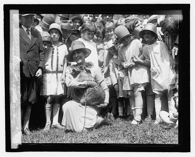 Grace Coolidge Raccoon.jpg