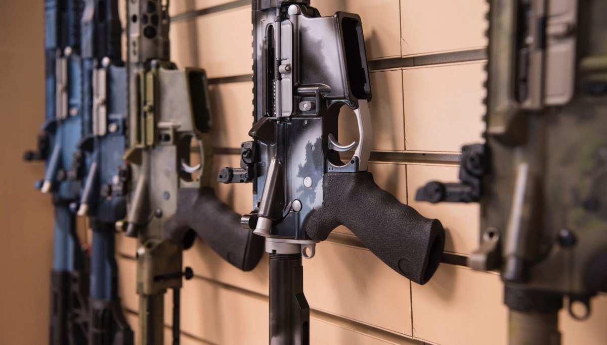 Gun shock: Majority support ‘mandatory buyback’ of AR-15s