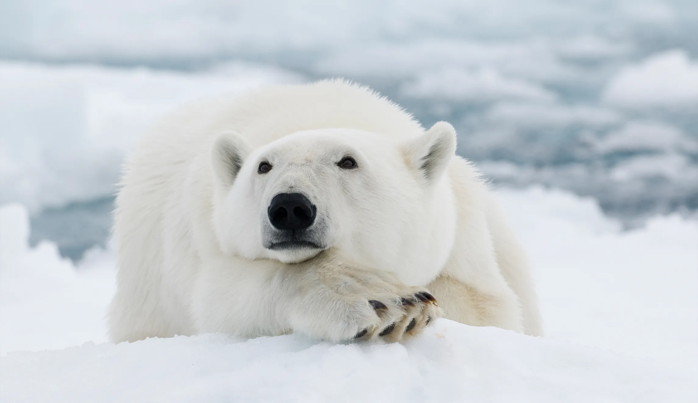 Joe Biden is threatening Britain over a complete nonissue