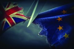 Dan Hannan: The open conspiracy to foil Brexit is having its day, but it will fail
