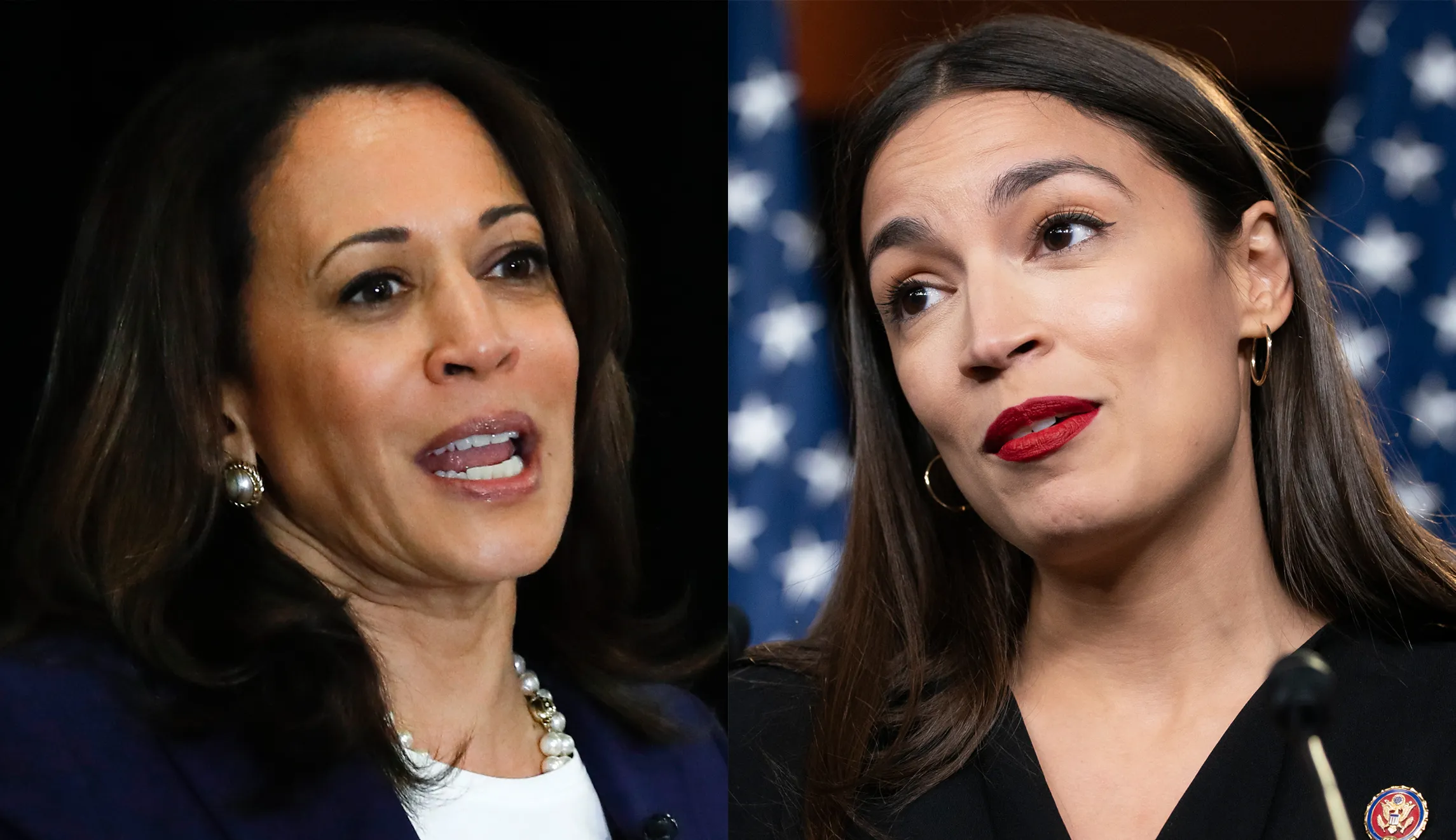 Democratic Party’s ‘big tent’ won’t survive past the November election