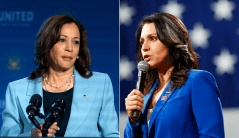 Tulsi Gabbard rips Kamala Harris for ‘blatantly lying’ after saying ‘border is secure’