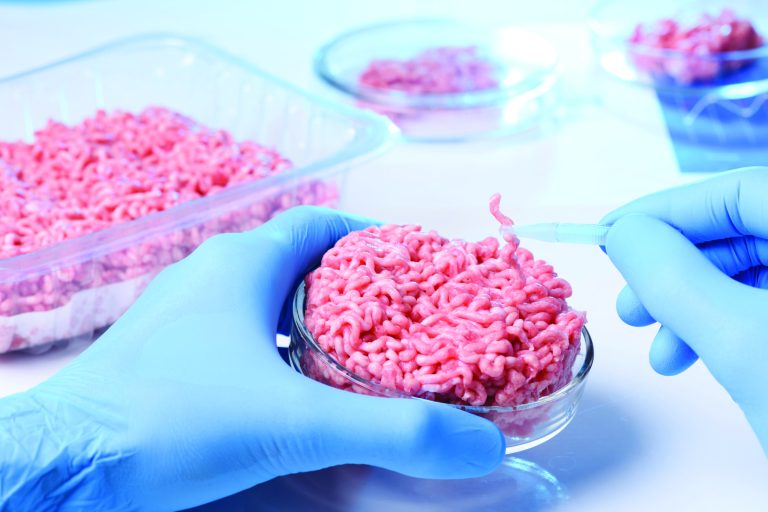 Regulators face food fight over lab-grown meat