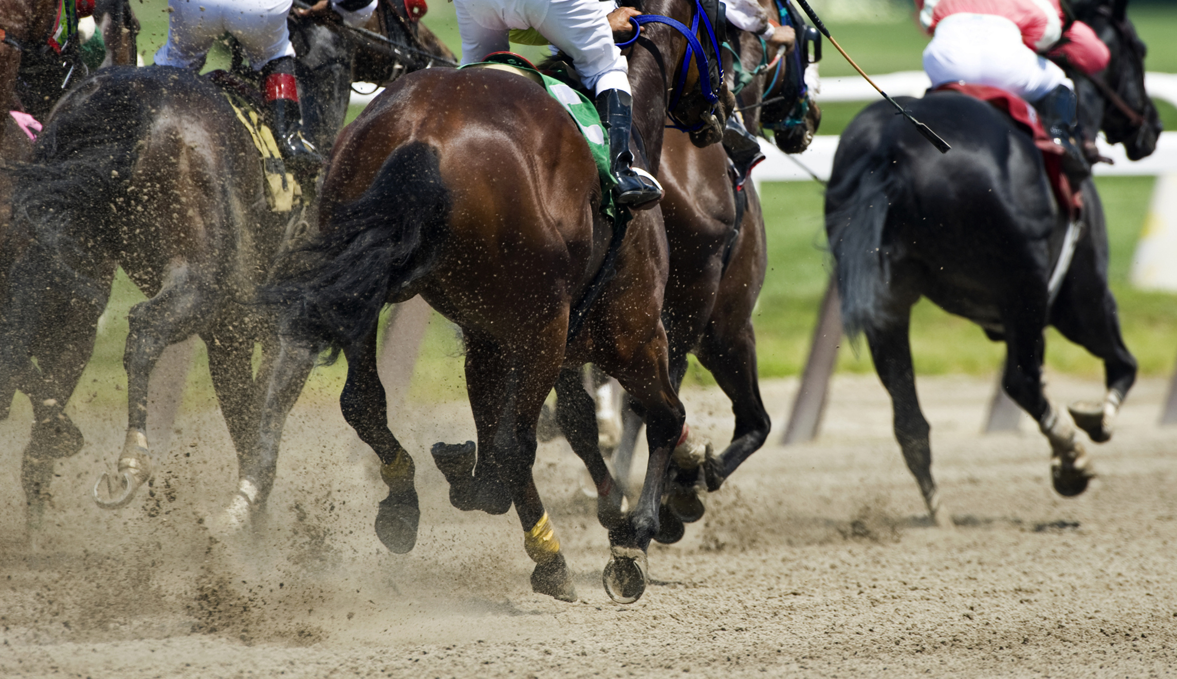 Protect racehorses: A bipartisan effort in Congress