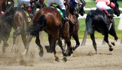 Protect racehorses: A bipartisan effort in Congress