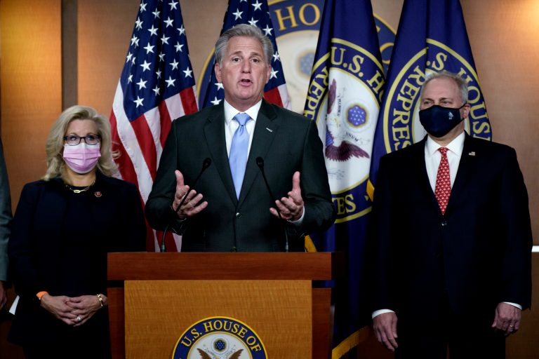 House minority leader signs amicus brief for Texas lawsuit challenging election result