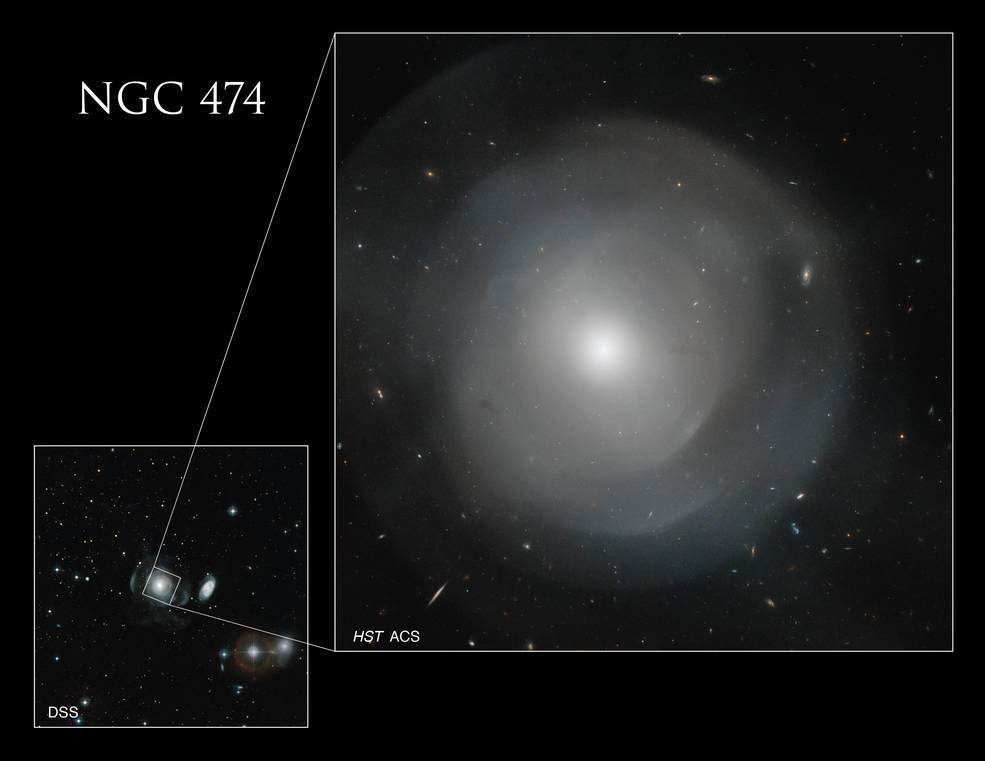 Hubble Space Telescope captures image of giant galaxy surrounded by ‘shells’