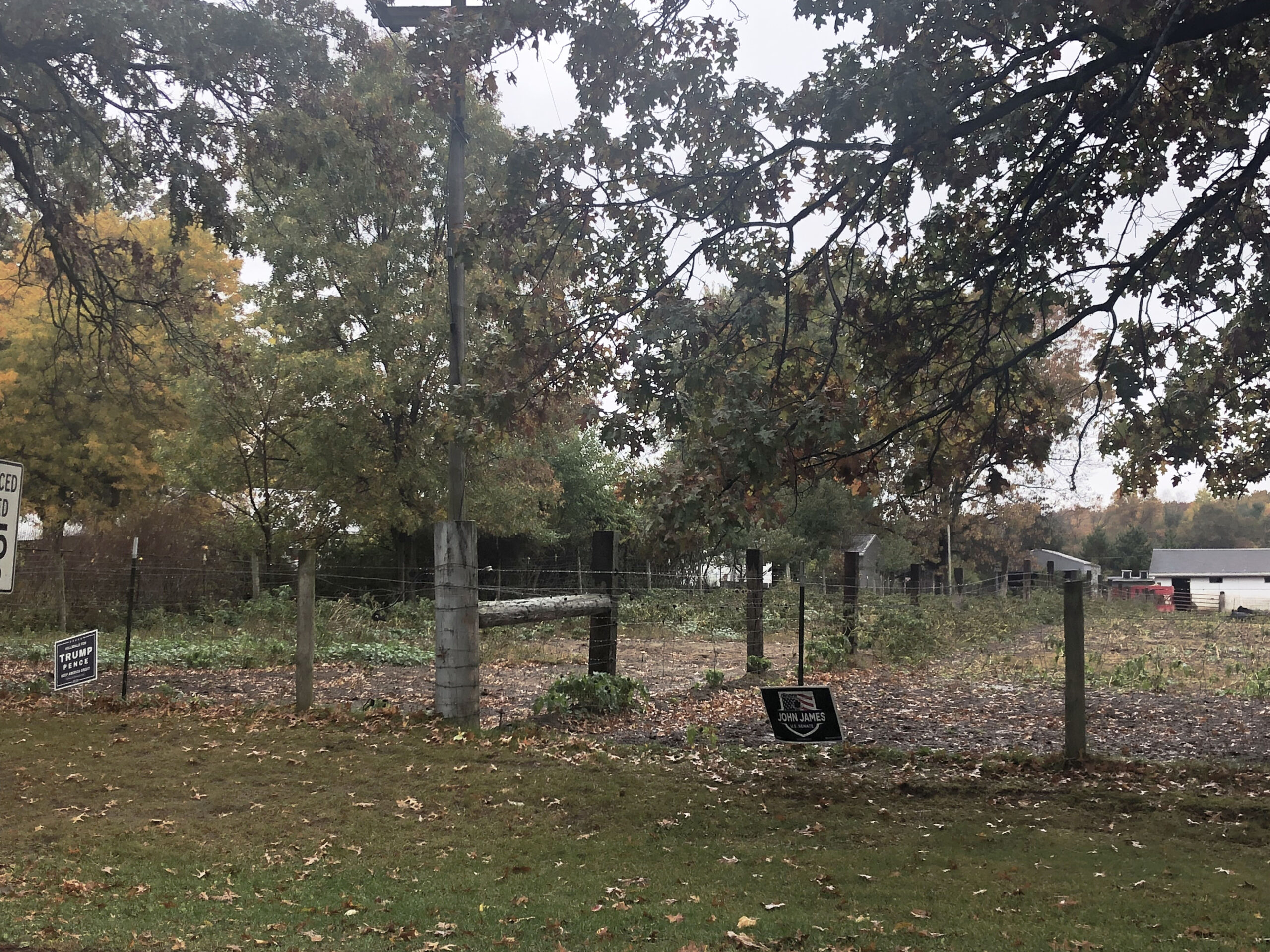 Sleeper race could wake up Michigan and shock the nation