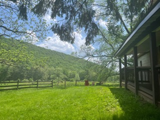 IMG_3689.jpeg