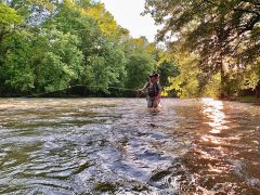 Catch a Crayfish, Count the Stars: Steven Rinella’s first children’s book is a treasure for the ages