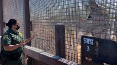 Mexican military shows its strength just south of US border to keep migrants from crossing