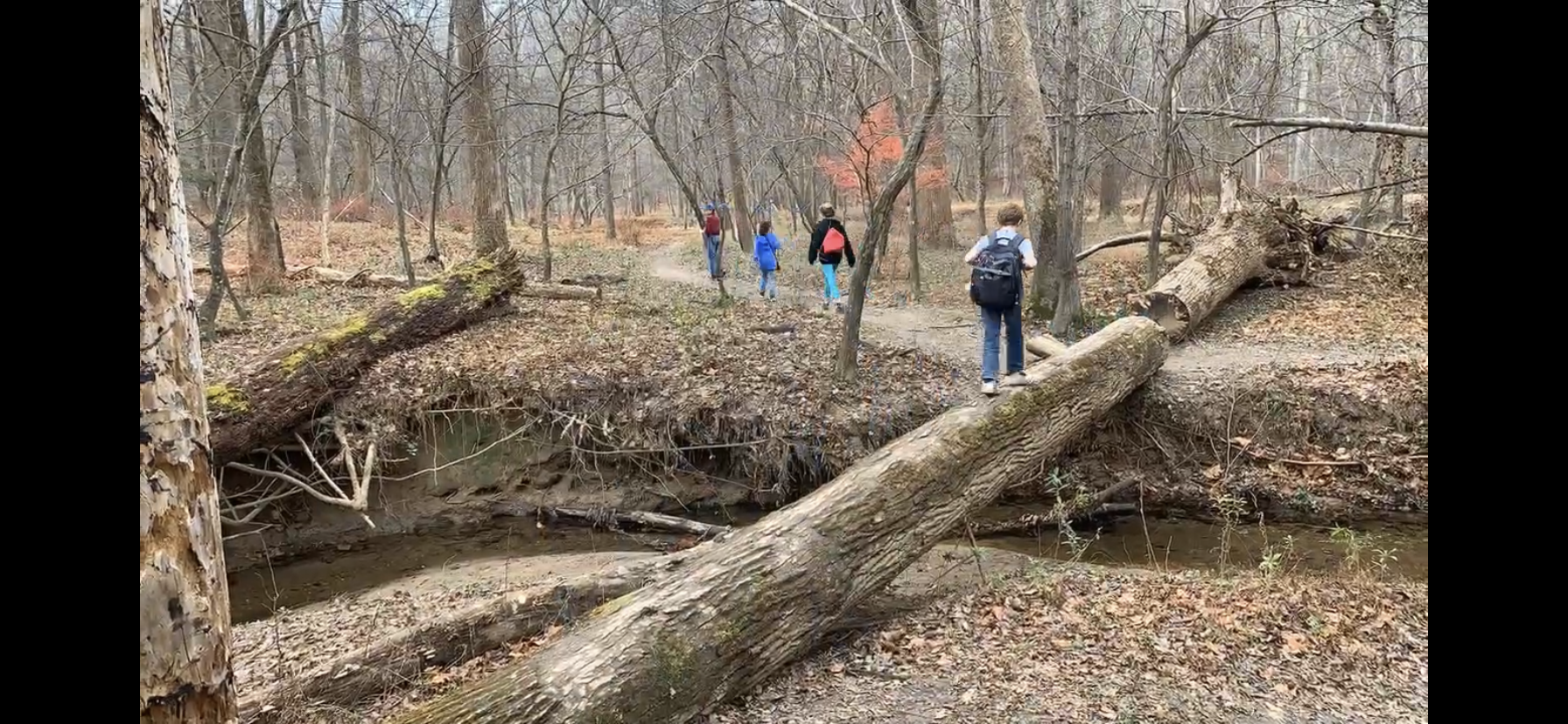 My ‘Black Friday’ tradition: The seven-mile hike