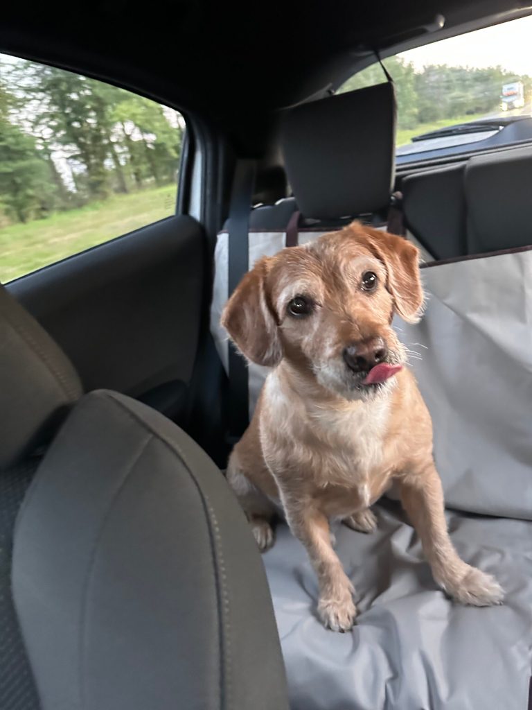 Christopher Tremoglie