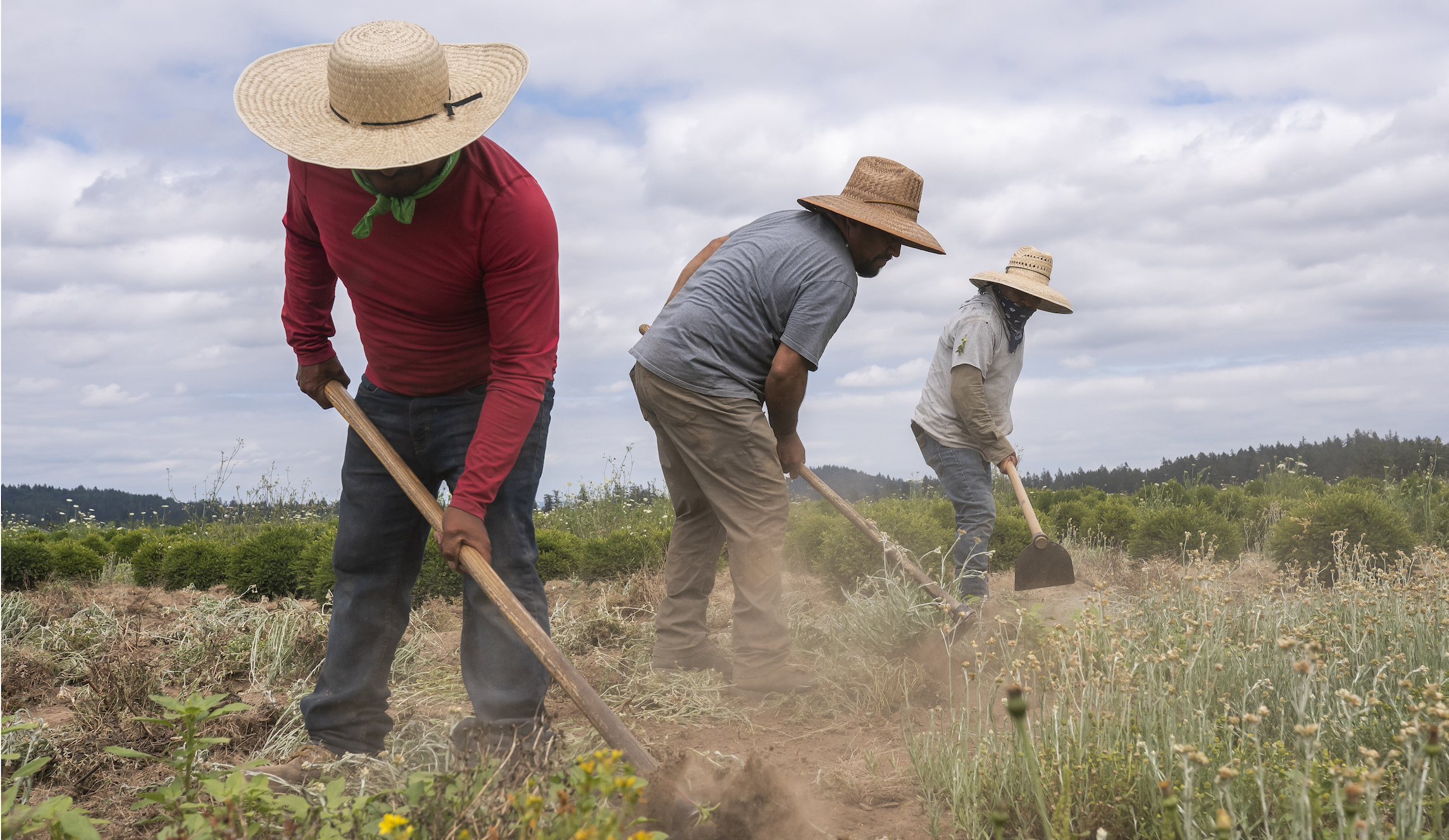 Immigrants and their children have made up 70% of US labor force growth since 1995