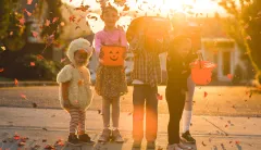 Candy prices reach record levels as ‘Bidenflation’ hits Halloween season