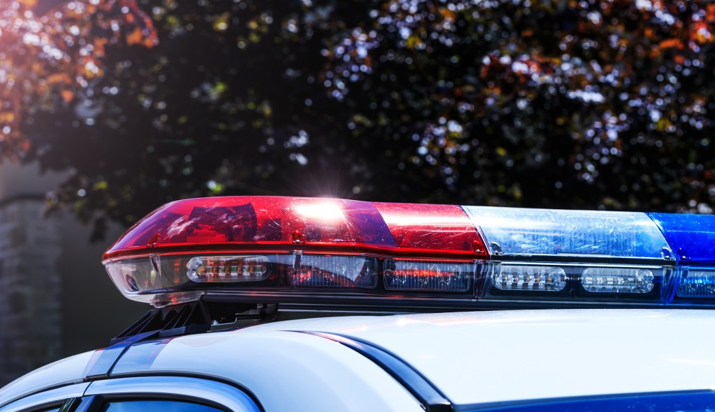 New York father-to-be killed by exploding gender reveal device