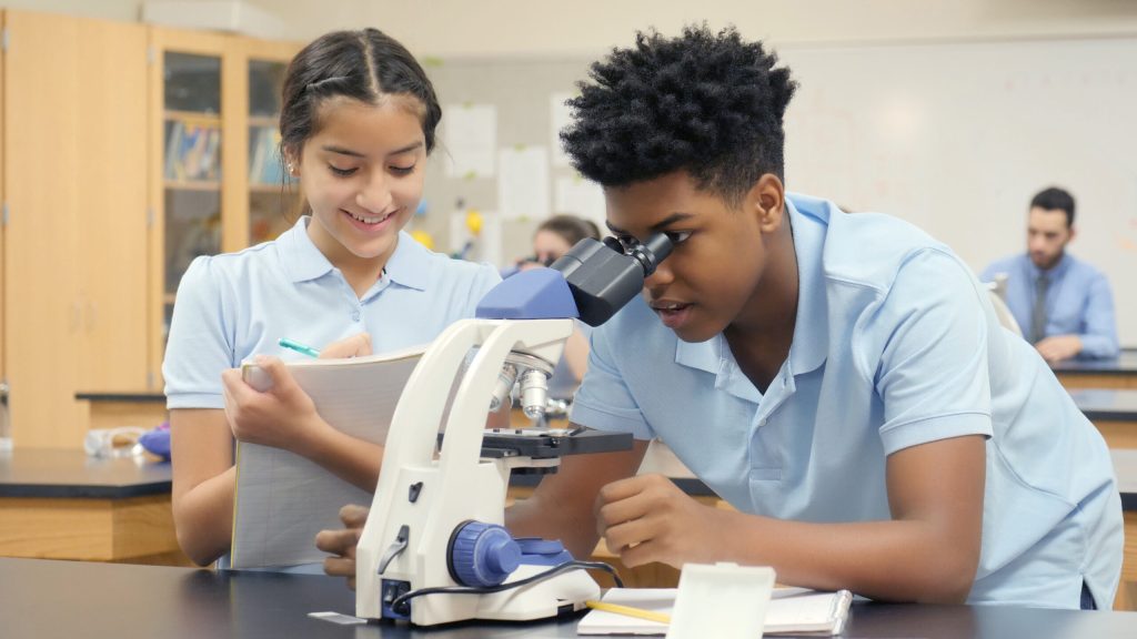 Why are we so afraid of sex differences in education?