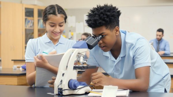 Why are we so afraid of sex differences in education?