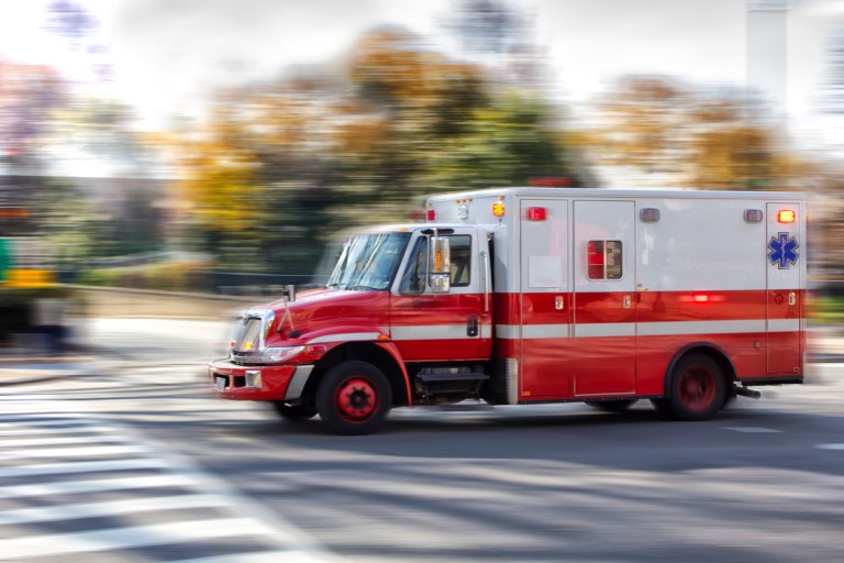 Four-day-old newborn Arkansas baby girl killed by family dog