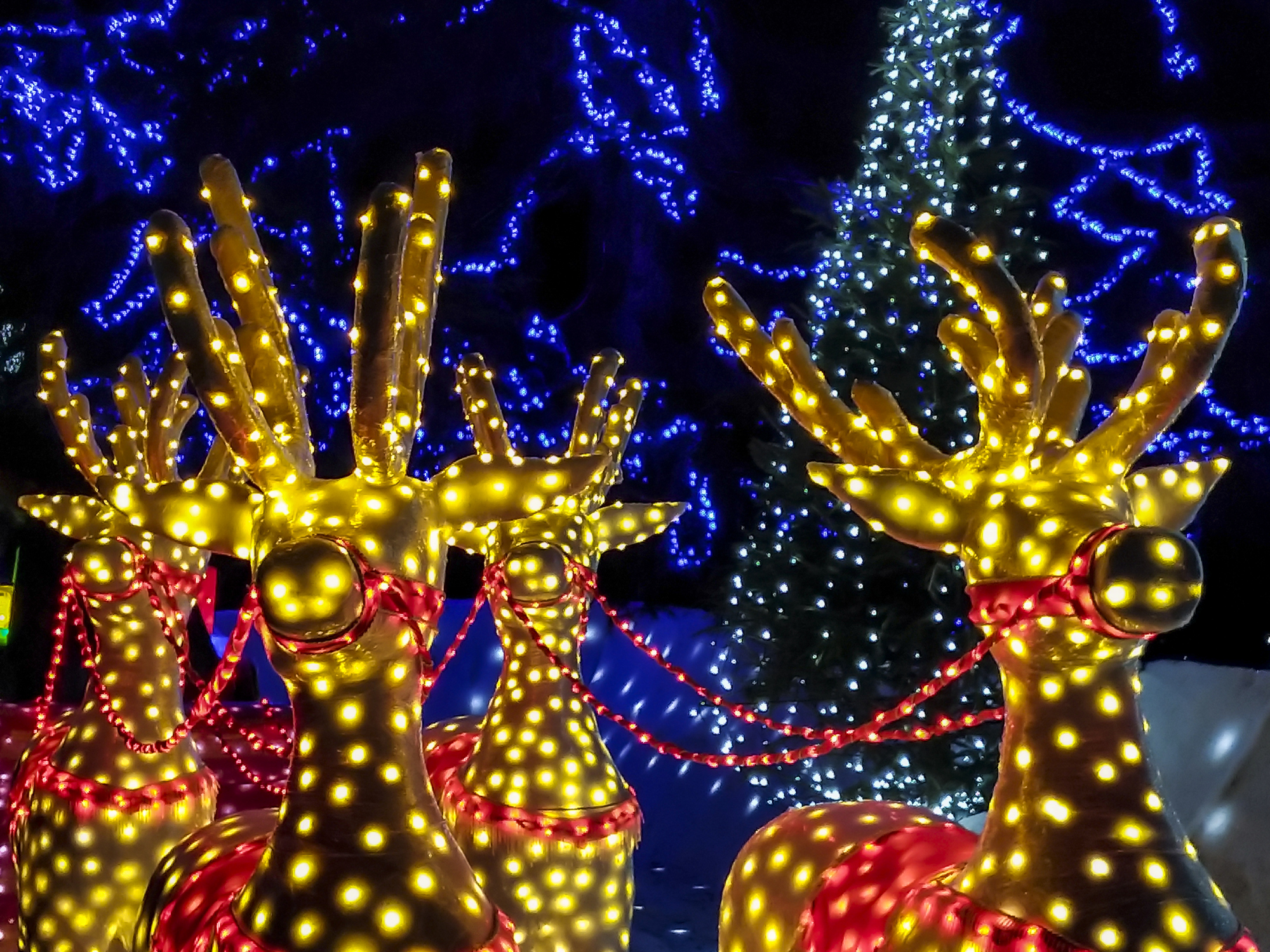 World record-winning Christmas lights display outraging neighbors