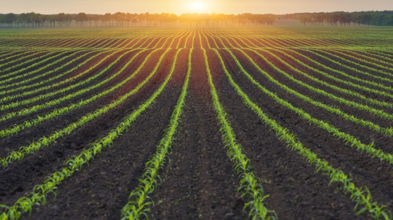 New clean water rule is a big win for farmers and for everyone else